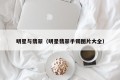 明星与翡翠（明星翡翠手镯图片大全）
