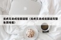龙虎兄弟成龙国语版（龙虎兄弟成龙国语完整免费观看）